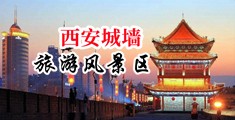 啊啊啊插bibi中国陕西-西安城墙旅游风景区